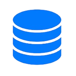 DBMS
